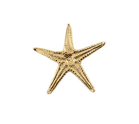 Sea Star Small